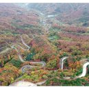 학산영동로1 이미지