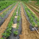 희망찬농장 이미지