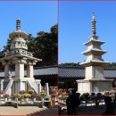 창녕옥야중학교 이미지