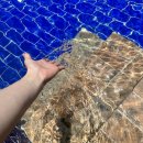 오투펜션 이미지