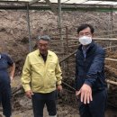 충청 축산 이미지