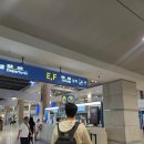 베트남어_처음(야간) | 베트남항공 하노이 : 기내식 후기 수화물 좌석