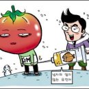 통일식품 이미지