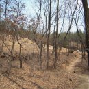 화창군묘 이미지