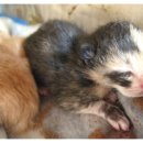 꼬물이공방 이미지