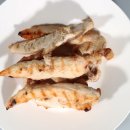 바른 애견 이미지