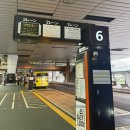 디지털 카메라(DSLR) 완전 정복하기 | 도쿄여행 1일차 : ) 나리타공항에서도쿄역 몬토레 라 스루 긴자 센소지 아사쿠사몬자젠야 도쿄역야경