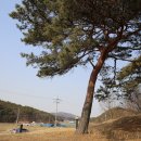 김해김씨 정려 이미지