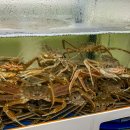 하이벳 수산 이미지