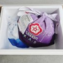 평창꽃순이 열무자박이 김치 맛있는 여름김치추천