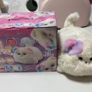 송스마켓 이미지