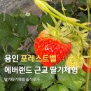 토끼사육장 인근(배봉산) | 용인 포레스트 벨, 에버랜드 근처 딸기 체험 아이와 가볼만할까? (솔직 후기)