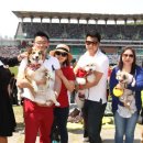 도그데일리 이미지