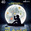 가족오페라 마술피리 이미지