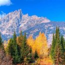 강변에서 이미지