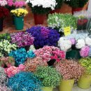 쩡7가게 이미지