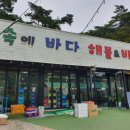 바다의숲펜션 이미지