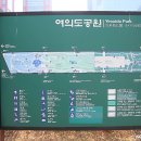 여의도공원 3번출입구 앞 이미지