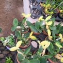 자명농장 이미지