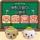 성주메디칼 - 금정구 서동로176번길 23 | 대구강아지분양 도움준 일상