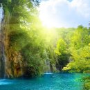 기능사세탁소 이미지