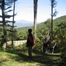 하늘내린농장 이미지