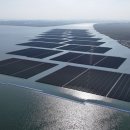 양천 태양광발전소 이미지