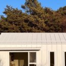 스테이 매일의 아침 이미지