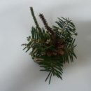 태석농장 이미지