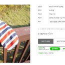 스타일나개