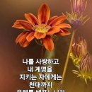 가정열쇠