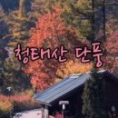 청태산 자연속으로 이미지