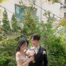 플로리부케:: 바로오늘이그날 스튜디오 웨딩촬영 동행 플라워디렉팅 후기