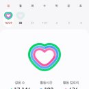 새한탕 | 초가성비 제주여행 숙소(짠내투어 추구 모찌엄니)