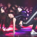 도도댄스 이미지