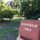 당신의과수원