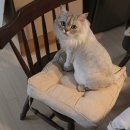 사각사람연구소 이미지