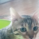 다나약국 앞 이미지