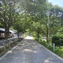 용소폭포 화장실 | 가평 계곡 추천, 도대리 용소폭포 실시간 후기 총정리 (주차, 평상, 위치, 샤워실, 취사, 텐트, 성수기...