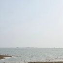 신호미트