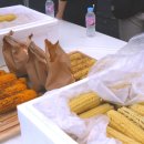 소윤섭농장 | 충북대, 신품종 찰옥수수 맛보세요!