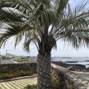 비에노즈 이미지