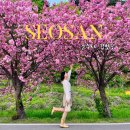 문수사 입구 | 서울 근교 충남 서산 겹벚꽃 명소 문수사 개화시기