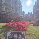 얼음이 빛나는 순간 (독서후기)