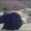 풍선PC방 이미지