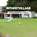 위드펫 | 서울근교 횡성 애견동반펜션 자연 속 위드펫빌리지