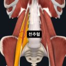 성서정형외과의원 | 다사한의원, 허리디스크? 의외로 이것만 알면 고칠수 있다