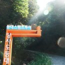 무궁화로 이미지