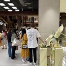 메이메디 이미지