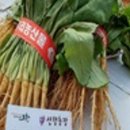 이쁜농장 이미지